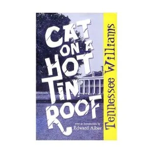 Cat on a Hot Tin Roof