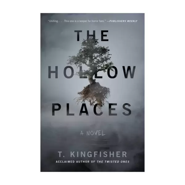 The Hollow Places